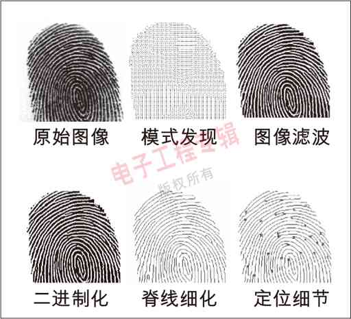 圖4：指紋處理的次序。